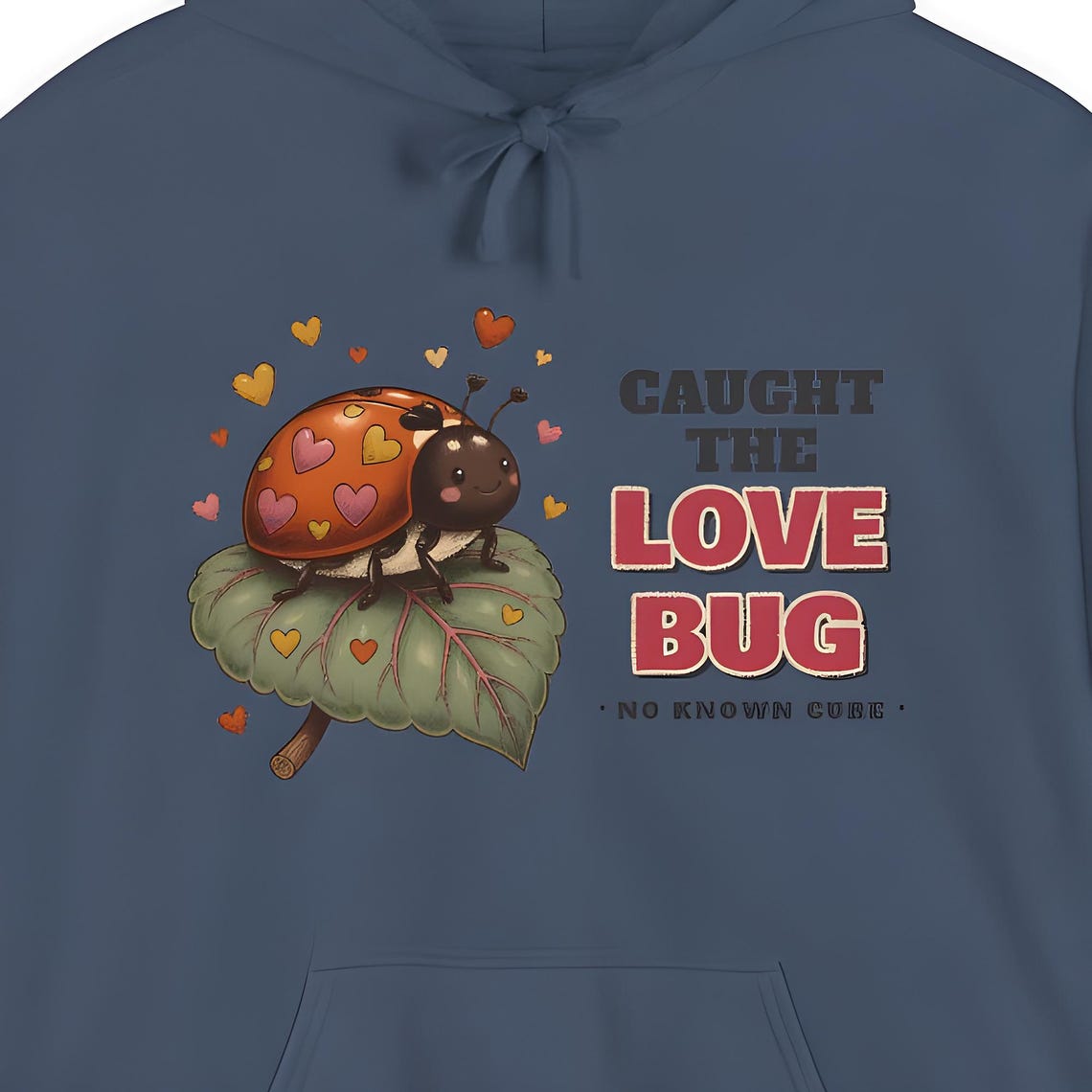 Love Bug Ladybug Hoodie — Comfort Colors hoodie by WedgeAtelier