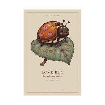 Love Bug Ladybug Print photo 3
