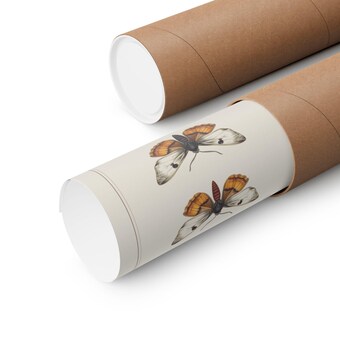 Butterfly & Moth Chart Print photo 3
