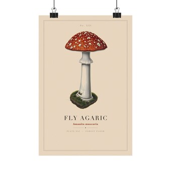 Fly Agaric Mushroom Print photo 2