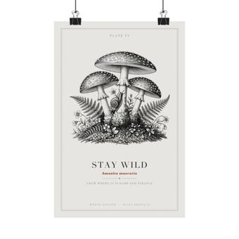 Fly Agaric Mushroom Print photo 2