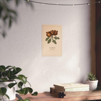 Vintage Acorn Botanical Print photo 6
