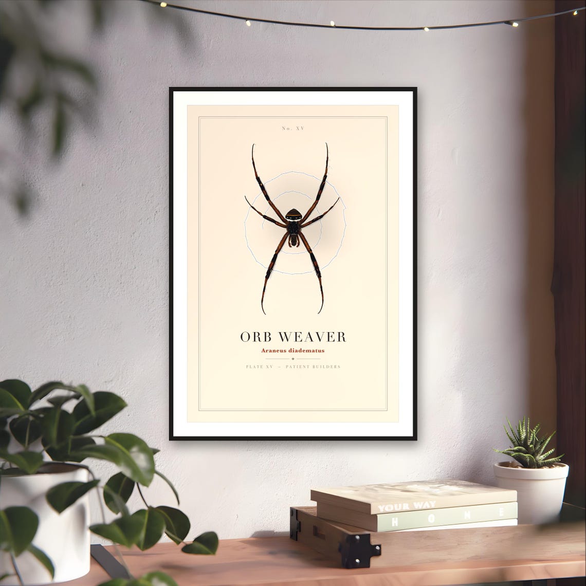 Vintage Orb Weaver Spider Print — art print by WedgeAtelier