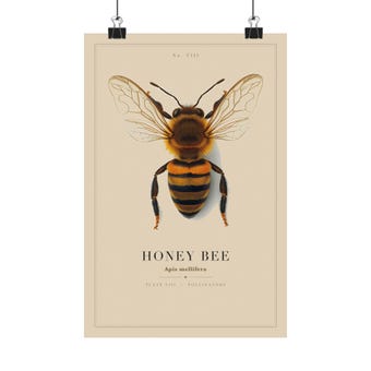 Vintage Honey Bee Specimen Plate Print photo 2
