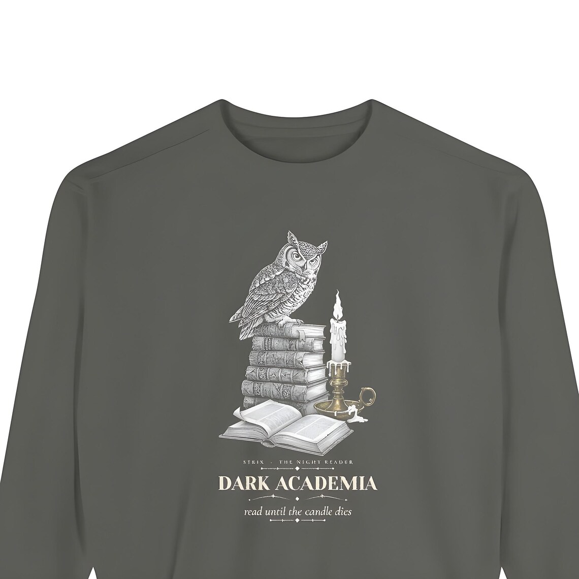Dark Academia Owl Sweatshirt — Comfort Colors crewneck sweatshirt by WedgeAtelier
