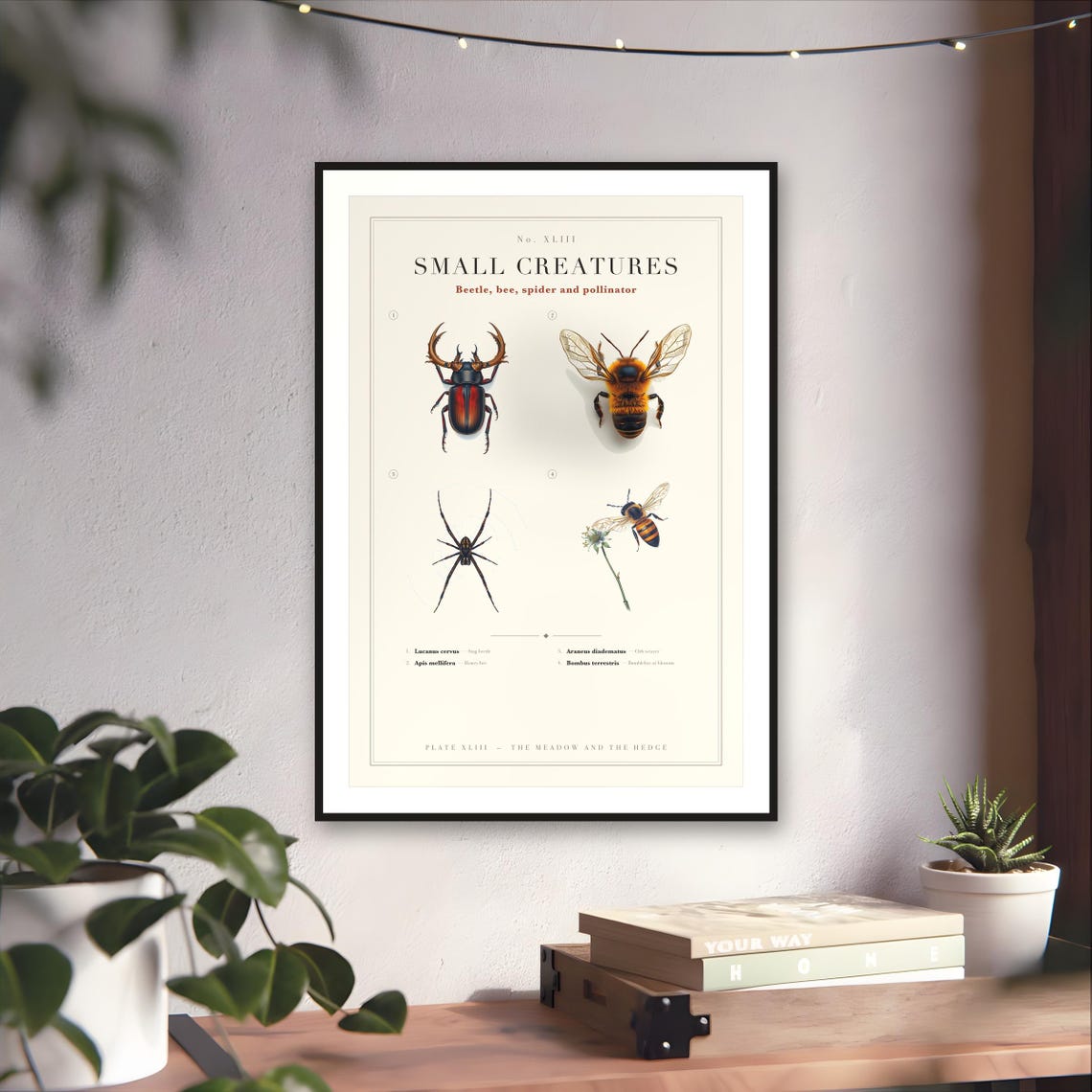 Beetle — art print by WedgeAtelier