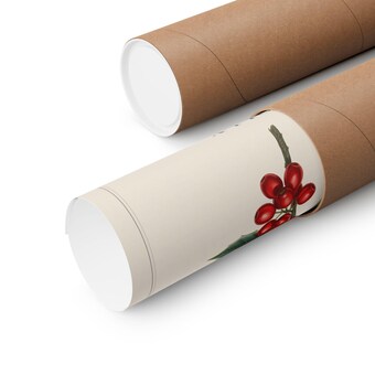 Holly Botanical Christmas Print photo 3