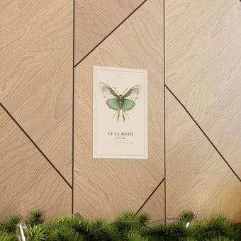 Vintage Luna Moth Specimen Plate Print photo 5
