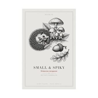 Hedgehog Mushroom Engraving Print photo 3