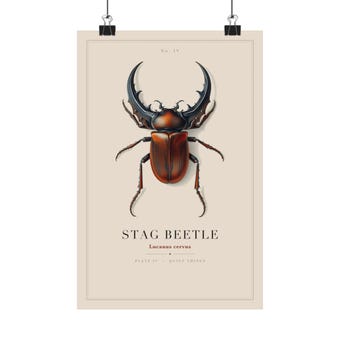 Vintage Stag Beetle Print photo 2