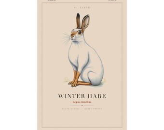 Winter Hare Print, Vintage Animal Wall Art, Mountain Hare Specimen Plate, Cottagecore Nature Poster, Woodland Decor