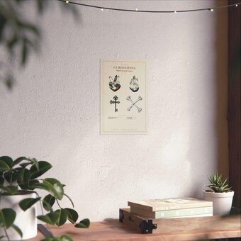 Cabinet of Curiosities Print photo 6