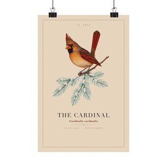 Vintage Cardinal on Snowy Pine Specimen Plate Print photo 2
