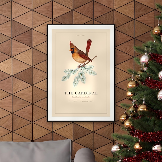 Vintage Cardinal on Snowy Pine Specimen Plate Print — art print by WedgeAtelier