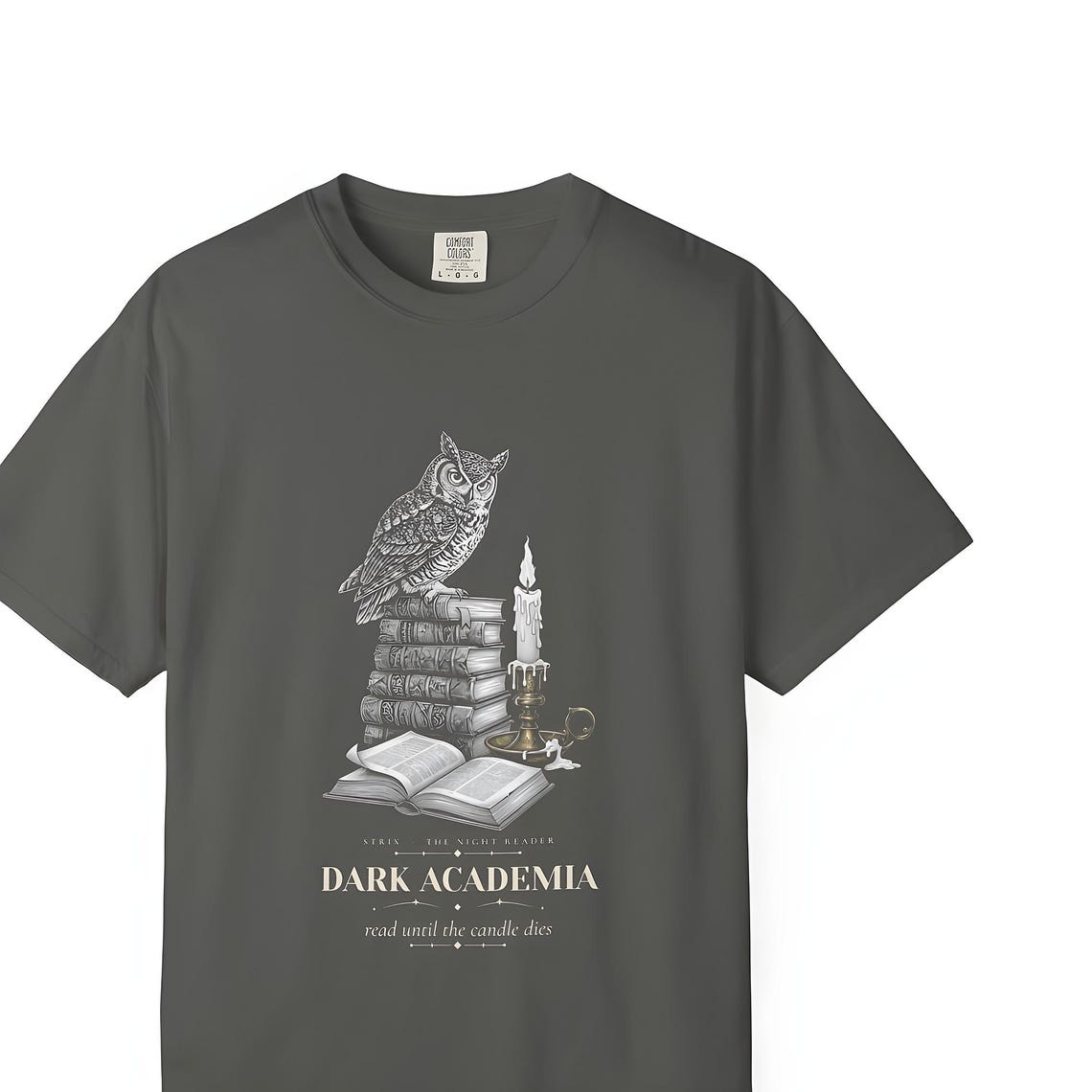 Dark Academia Owl Shirt — Comfort Colors tee by WedgeAtelier