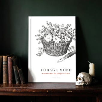 Foraging Mushroom Wall Art Print photo 3
