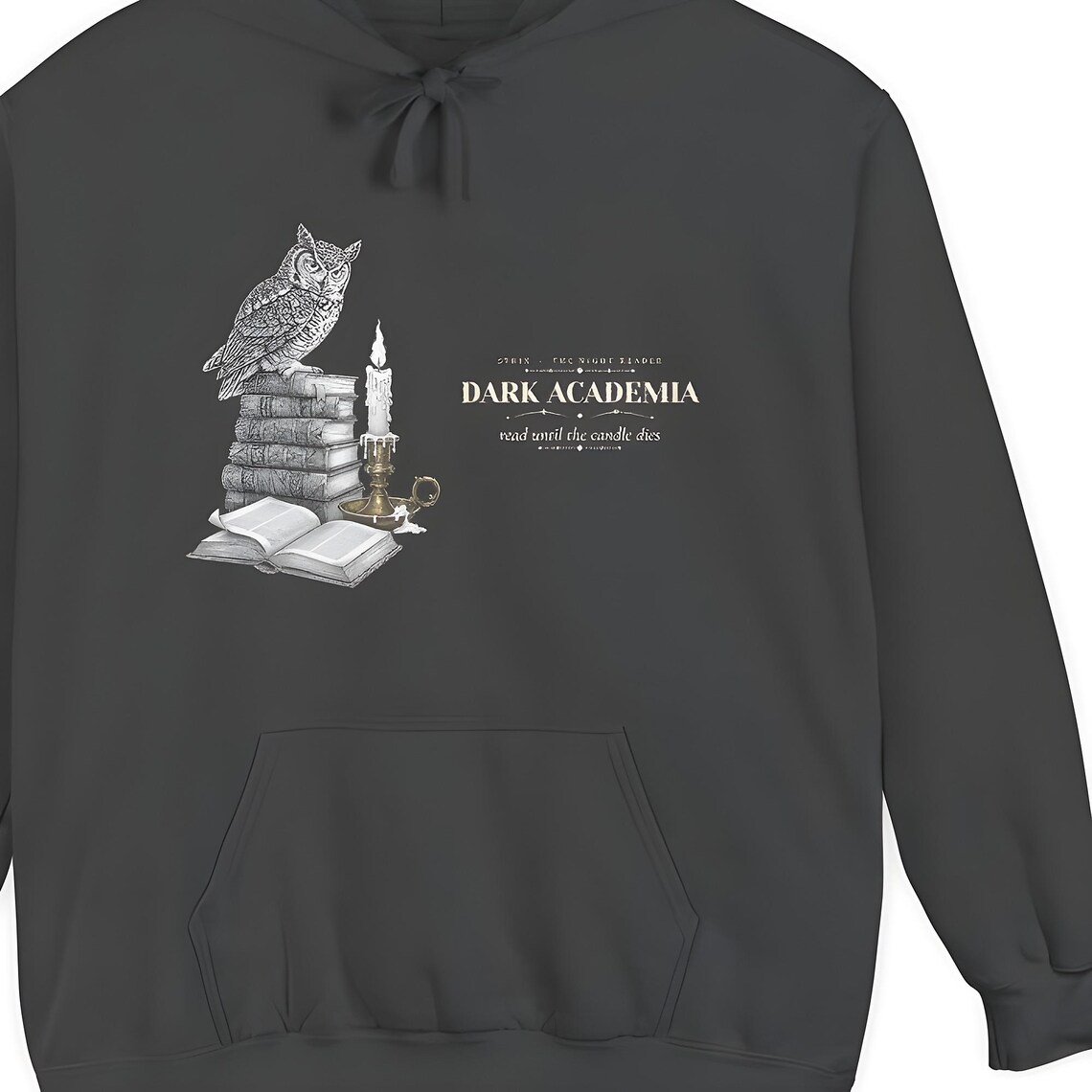 Dark Academia Owl Hoodie — Comfort Colors hoodie by WedgeAtelier