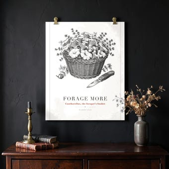 Foraging Mushroom Wall Art Print photo 2