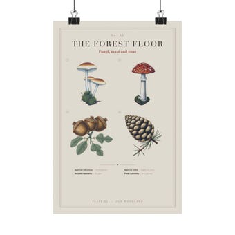 Mushroom Forest Floor Chart Print photo 2