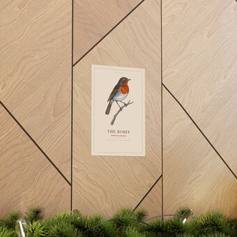 Vintage Robin Specimen Plate Print photo 5