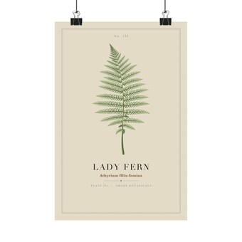 Sage Green Lady Fern Print photo 2