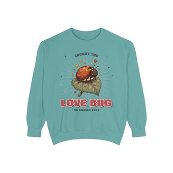 Love Bug Ladybug Sweatshirt photo 6