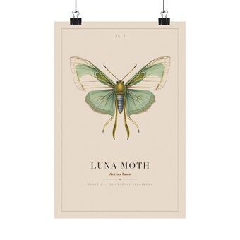 Vintage Luna Moth Specimen Plate Print photo 2