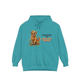 Good Boy Energy Dog Hoodie photo 4