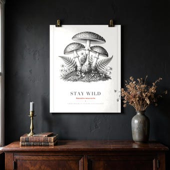 Fly Agaric Mushroom Wall Art Print photo 4