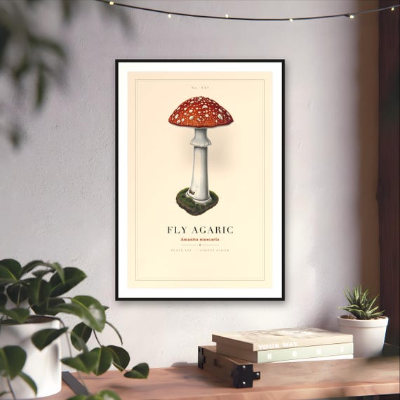 Fly Agaric Mushroom Print — art print by WedgeAtelier