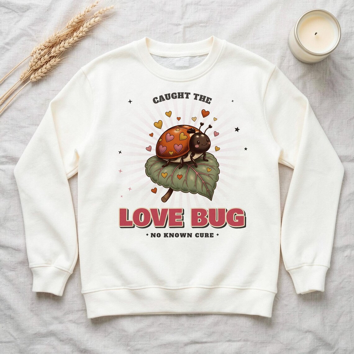 Love Bug Ladybug Sweatshirt by WedgeAtelier