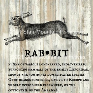 Primitive Farmhouse  Hare Bunny Rabbit Definition Jpeg Digital  Image Feedsack Logo for Pillows Pantry Labels Hang tags Magnets Ornies