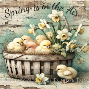 Primitive Farmhouse Spring Chicks Weathered Basket Printable Jpeg Digital Distressed Print Decoupage Label Hang Tag Ornament Canvas 10x8 #1
