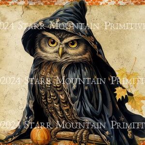 Primitive Herbst Halloween Eule in einem gruseligen Umhang Herbst Kürbis Damast Printable Jpeg 300 DPI Digitalbild Kissen Pantry Label Hangtag Print