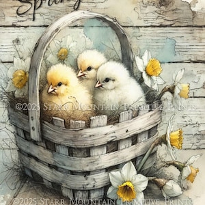 Primitive Farmhouse Spring Chicks Weathered Basket Printable Jpeg Digital Distressed Print Decoupage Label Hang Tag Ornament Canvas 8x10 #4