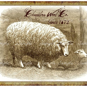 Primitive Vintage Chandler&#39;s Sheep Wool Jpeg Digital  Image Feedsack Logo for Pillows Pantry Labels Hang tags Magnets Ornies