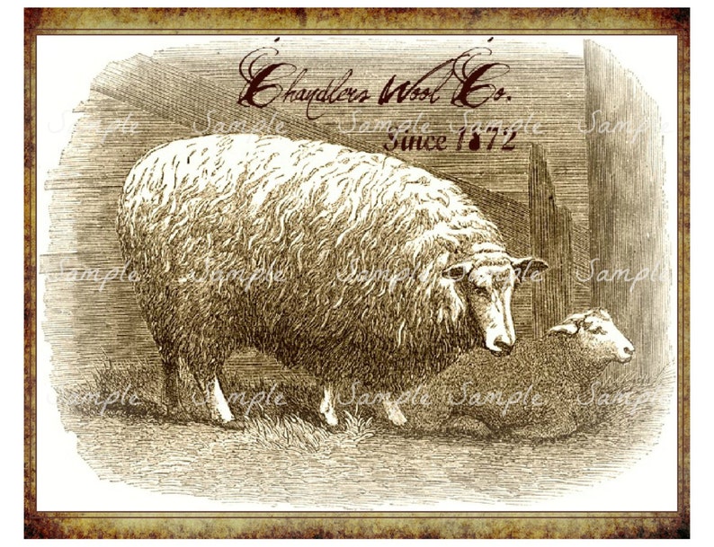 Primitive Vintage Chandler's Sheep Wool Jpeg Digital Etsy