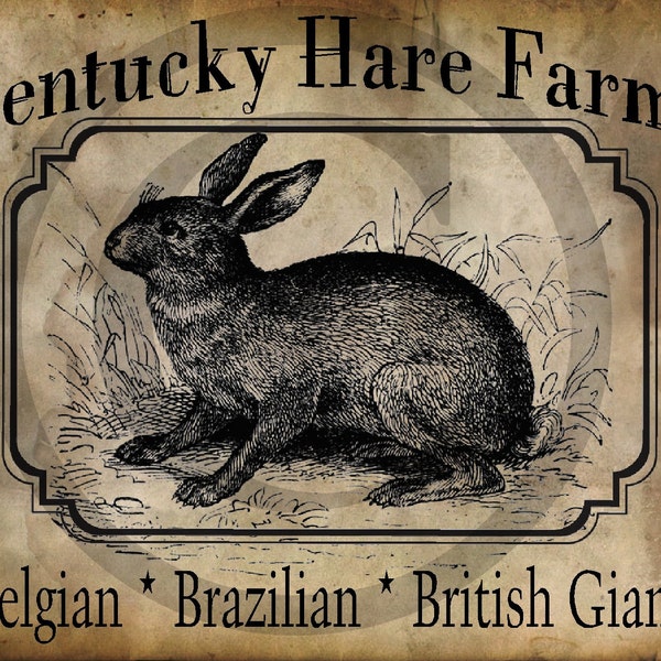 Primitive Kentucky Hare Farms Bunny Rabbit  Print Jpeg Digital  Image Feedsack Logo for Pillows Labels Hang tags Magnets Ornies