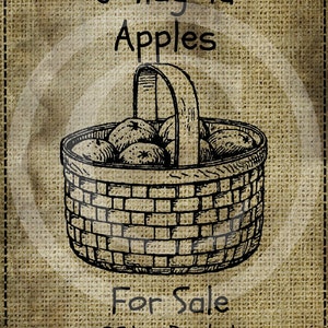 May include: A black and white illustration of a basket full of Jonagold apples. The basket has a wooden handle and is sitting on a hessian background. The text "For Sale 2£ a Bushel" is written below the basket.