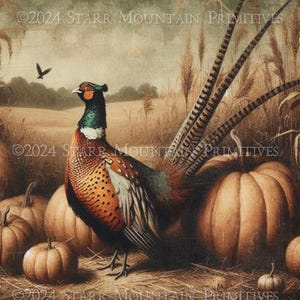 May include: A painting of a pheasant standing in a field of tall grass with pumpkins. The pheasant has a long tail and is brown, orange, and green. The pumpkins are orange and round. The background is a field of tall grass and a blue sky.