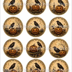 May include: A sheet of twelve circular stickers featuring black crows perched on orange jack-o'-lanterns against a vintage-style beige background. Each round design includes the text 2026 STARR MOUNTAIN PRIMITIVE PRINTS in a dark brown font.