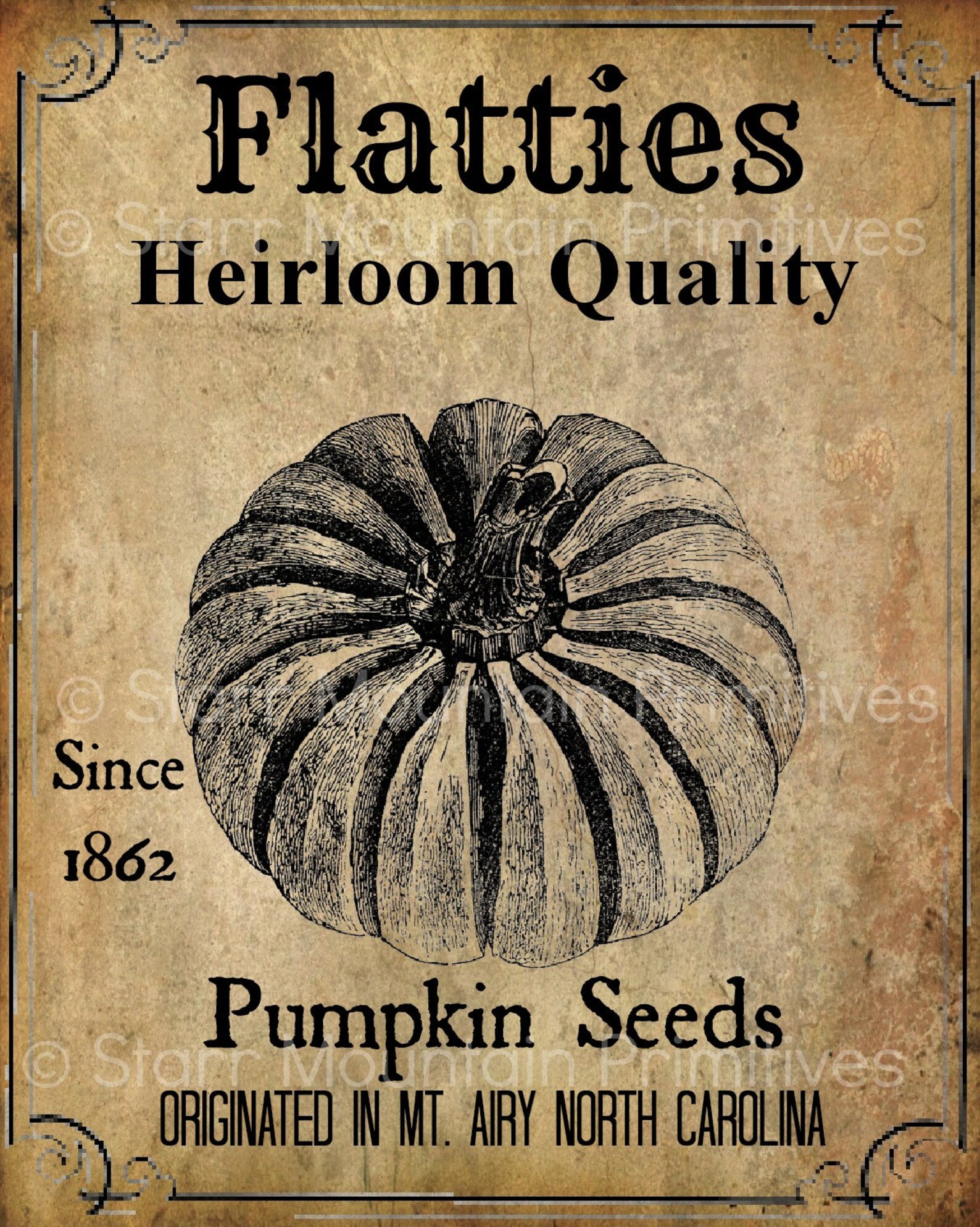 Primitive Vintage Fall Autumn Pumpkin Seeds Jpeg Digital | Etsy