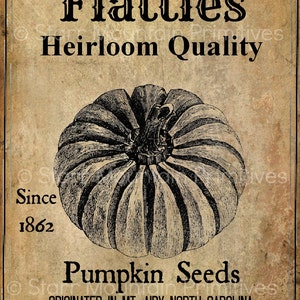 Primitive Vintage Fall Autumn Pumpkin Seeds Jpeg Digital  Image Great for Pillows Labels Hang tags Magnets Ornies