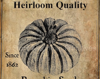 Primitive Vintage Fall Autumn Pumpkin Seeds Jpeg Digital  Image Great for Pillows Labels Hang tags Magnets Ornies