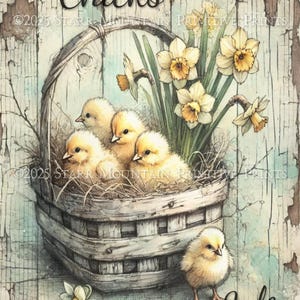 May include: A vintage-style illustration of a basket of yellow chicks with a bouquet of yellow daffodils. The text "Chicks for Sale" is written on the bottom of the image.