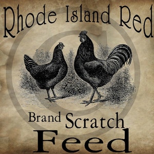 May include: Vintage style illustration of a Rhode Island Red rooster and hen with the text "Rhode Island Red Brand Scratch Feed".