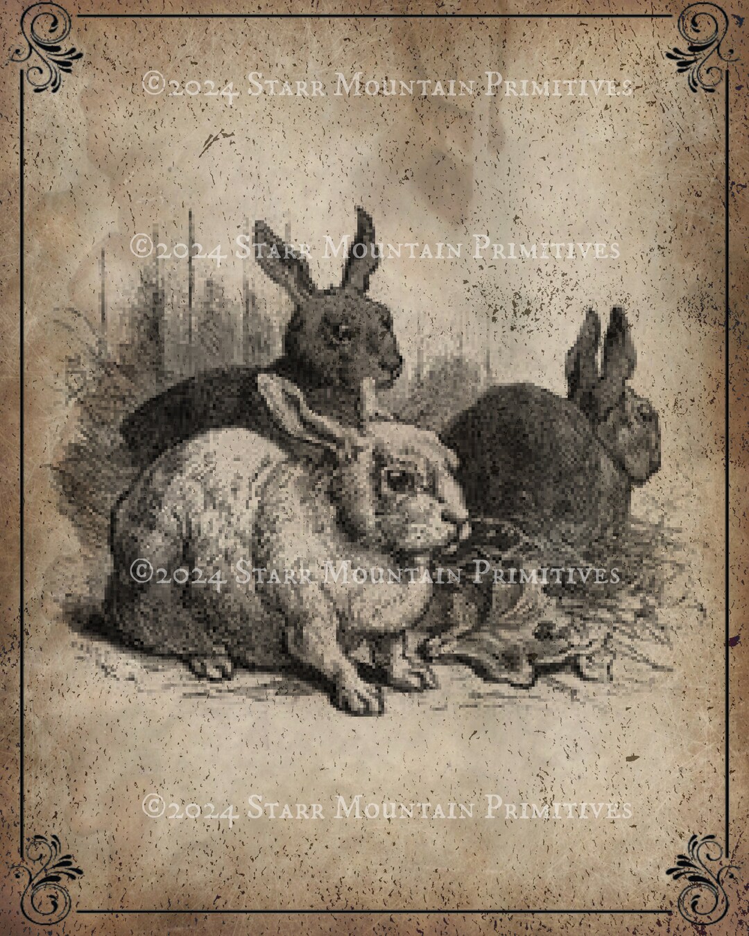 Primitive Vintage Hare Bunny Rabbit Bunnies Trio Jpeg Digital Image ...