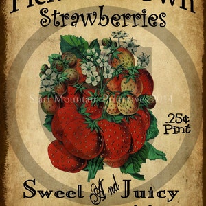 May include: A vintage-style sign advertising pick-your-own strawberries. The sign features a red and green illustration of strawberries with white flowers and the text "Pick Your Own Strawberries", "Sweet And Juicy", "Homegrown in Amish Country", ".25¢ Pint", and "Starr Mountain Primitives 2014".