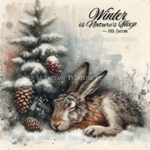 Puede incluir: Una pintura de acuarela de una liebre durmiendo en un bosque nevado. La liebre es marrón y gris con los ojos cerrados. El bosque está cubierto de nieve y hay pinos en el fondo. La cita "Winter is Nature's Sleep - HS. JACOBS" está escrita en cursiva negra en la parte superior de la imagen.