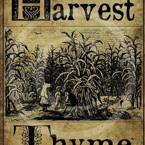 May include: Vintage illustration of a field of corn with people harvesting. The image is in black and white and has a rustic, antique look. The text "Harvest Thyme" is at the top and bottom of the image.